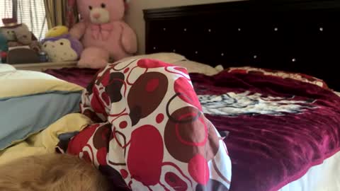 Rose and Jacks Pay Room online show from July 30, 2026, 7:13 pm