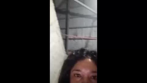 Snapshot of rose_marie2025 chatting on February 5, 2026, 3:49 pm rose_marie2025 online show from February 5, 2026, 3:49 pm