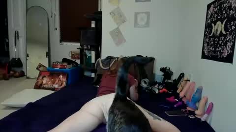 Snapshot of rosehatter chatting on December 3, 2024, 10:29 pm Rose Hatter online show from December 3, 2024, 10:29 pm