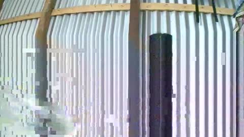 rosia online show from January 10, 2026, 8:05 am