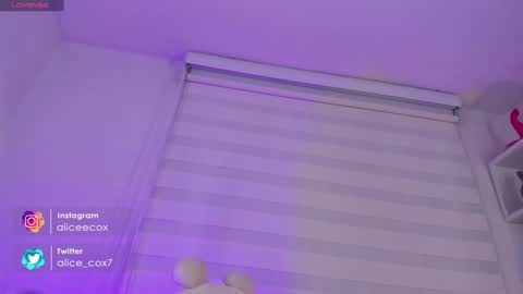   online show from January 24, 2025, 11:15 am