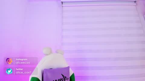   online show from January 29, 2025, 11:20 am