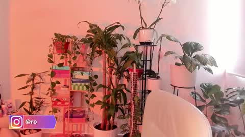 Im Ross   online show from October 24, 2025, 7:43 pm