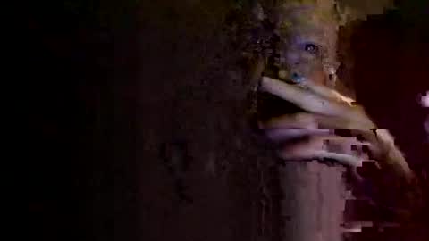 rotorranch online show from October 2, 2025, 6:31 am