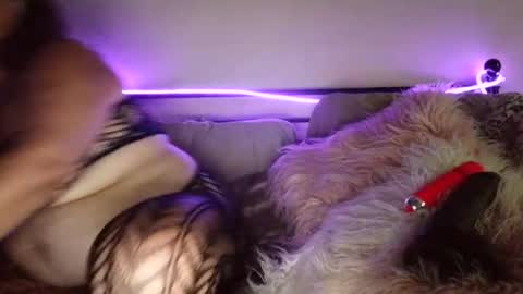 Snapshot of roxiejamesss chatting on July 29, 2026, 7:56 pm roxiejamesss online show from July 29, 2026, 7:56 pm