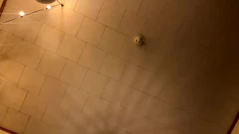 rp131313 online show from January 10, 2026, 4:25 am