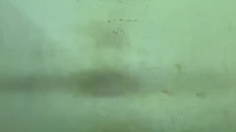 Rupali online show from December 21, 2025, 4:47 pm