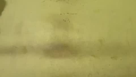 Rupali online show from February 5, 2026, 1:32 am