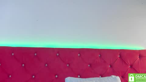 Snapshot of ruth_harvey chatting on January 9, 2025, 3:44 pm Ruth online show from January 9, 2025, 3:44 pm