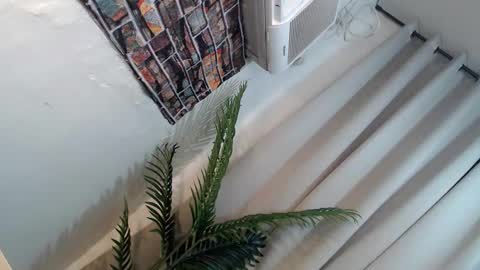 Its me Ryan  online show from January 26, 2025, 6:27 pm