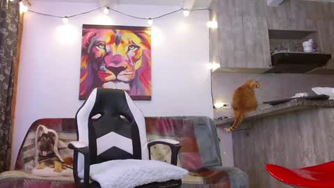 Ryan Blue ig ryannblue online show from January 17, 2025, 10:56 pm