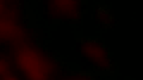 Ryan Star online show from January 18, 2025, 8:10 am