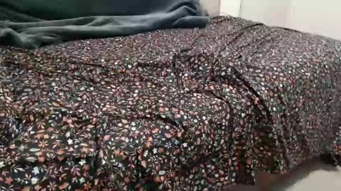 Snapshot of sactosteve chatting on December 15, 2024, 8:04 pm dadbod online show from December 15, 2024, 8:04 pm