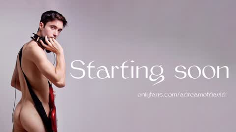 Snapshot of sahueso chatting on January 30, 2025, 9:14 pm David Sahueso online show from January 30, 2025, 9:14 pm
