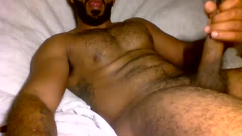 SD17 online show from January 31, 2025, 1:11 am