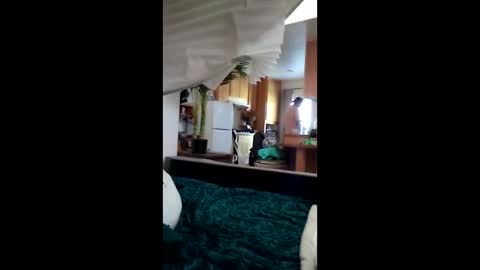 salis1981 online show from March 12, 2026, 6:58 pm