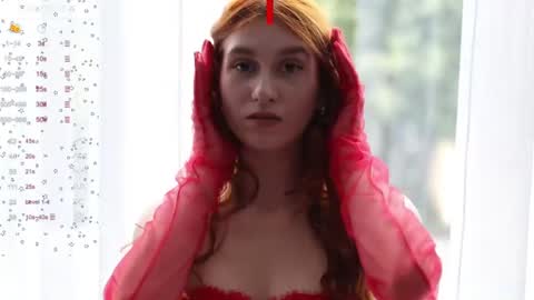 Snapshot of sallybiscuit chatting on December 19, 2024, 4:46 pm Sally online show from December 19, 2024, 4:46 pm