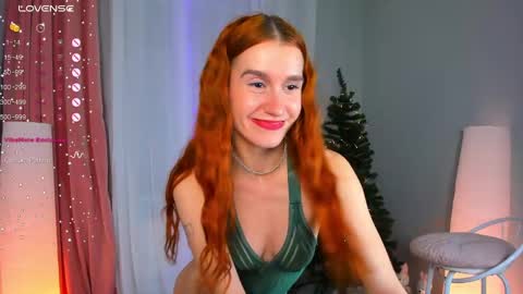 Snapshot of sallybiscuit chatting on December 28, 2024, 4:52 pm Sally online show from December 28, 2024, 4:52 pm