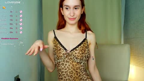 Snapshot of sallybiscuit chatting on February 6, 2025, 4:47 pm Sally online show from February 6, 2025, 4:47 pm