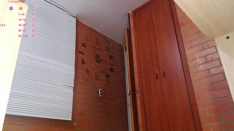 SAMANTHA online show from January 14, 2025, 9:41 pm