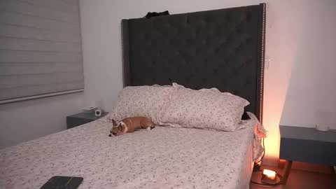 salomedyla online show from March 19, 2026, 11:53 pm