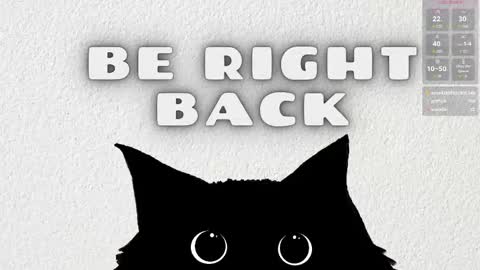 Salome online show from February 25, 2026, 2:32 am