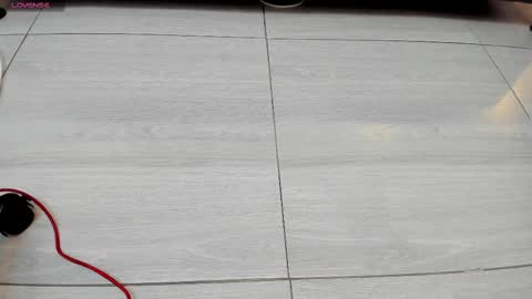 SALVATORE online show from February 18, 2025, 11:44 am