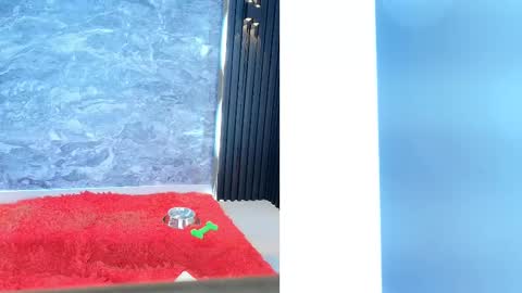 Samantha online show from February 11, 2025, 2:02 pm