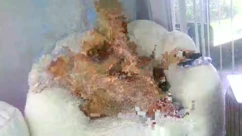 Snapshot of samathajamesxo chatting on March 31, 2026, 7:03 pm Samatha James online show from March 31, 2026, 7:03 pm