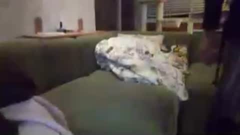 Snapshot of sammi_t chatting on July 19, 2026, 5:16 pm sammi_t online show from July 19, 2026, 5:16 pm