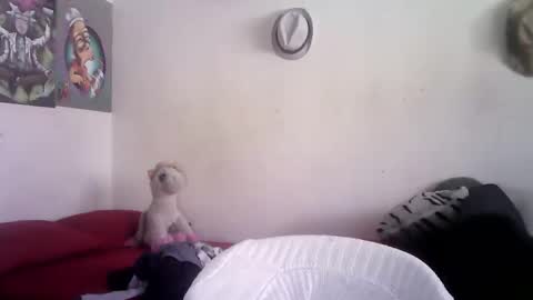 Snapshot of sammy_mcklain chatting on March 1, 2026, 3:36 pm sammy_mcklain online show from March 1, 2026, 3:36 pm