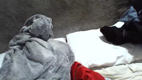 Snapshot of samuel987017 chatting on December 20, 2024, 6:08 am samuel987017 online show from December 20, 2024, 6:08 am