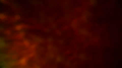 samueltal online show from September 19, 2025, 9:48 pm