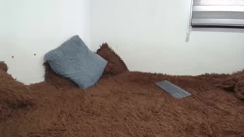 sara and thomas online show from February 26, 2025, 9:27 pm