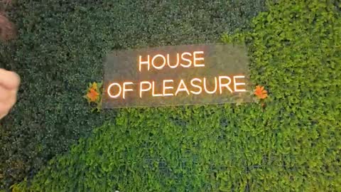 Sarah Bonneth online show from March 14, 2026, 11:59 am