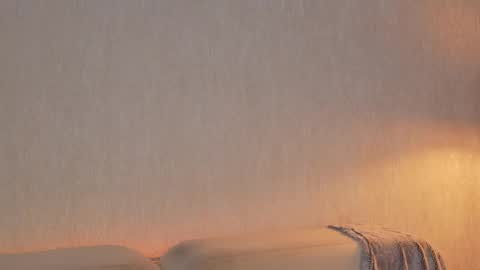       online show from March 26, 2026, 11:32 pm