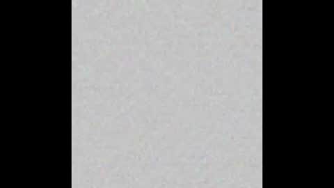 sarahtrans444 online show from February 4, 2025, 10:54 am