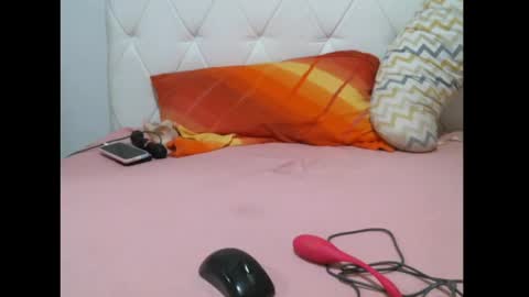 Snapshot of sarasexx33 chatting on January 24, 2025, 5:53 pm sarasexx33 online show from January 24, 2025, 5:53 pm