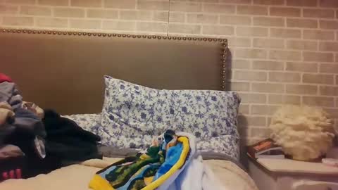 Snapshot of saretta46 chatting on December 15, 2024, 12:07 am Sara online show from December 15, 2024, 12:07 am