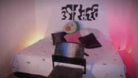 Sara online show from November 25, 2025, 10:43 pm