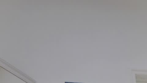 Sasha online show from March 31, 2026, 11:10 am