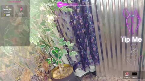 sassylatin45 online show from January 12, 2025, 1:21 am