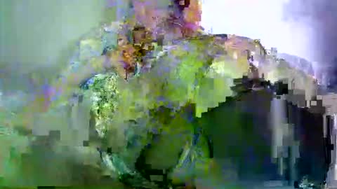 savagetonguee online show from March 29, 2026, 3:28 am