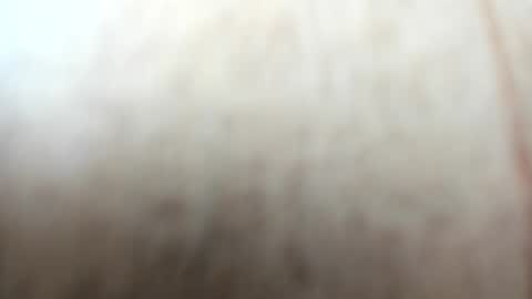 sayo_mao18 online show from September 24, 2025, 1:53 am