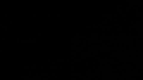 sayo_mao18 online show from December 17, 2025, 1:33 am