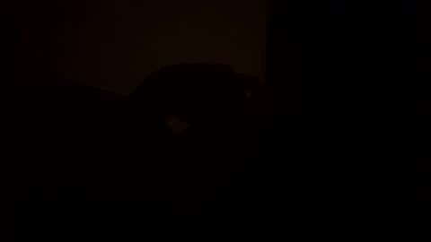 sc377003 online show from March 11, 2025, 2:54 am