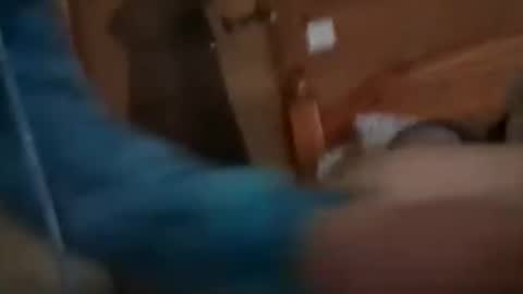 scamp12 online show from October 21, 2025, 11:11 am