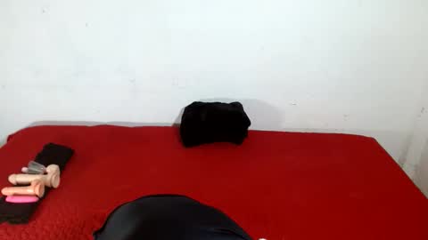 Snapshot of scarletfox__03 chatting on February 11, 2026, 5:12 am Scarletfox Fox online show from February 11, 2026, 5:12 am