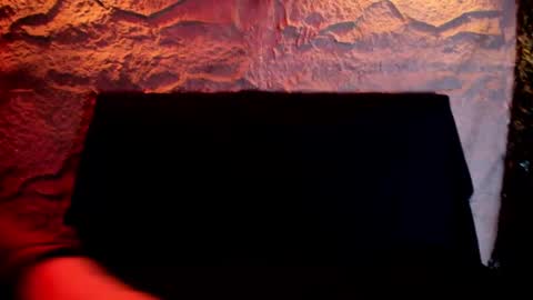 SCARLETT FOX  online show from September 23, 2025, 11:13 am