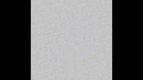   Not Angelo  online show from January 11, 2025, 10:51 am
